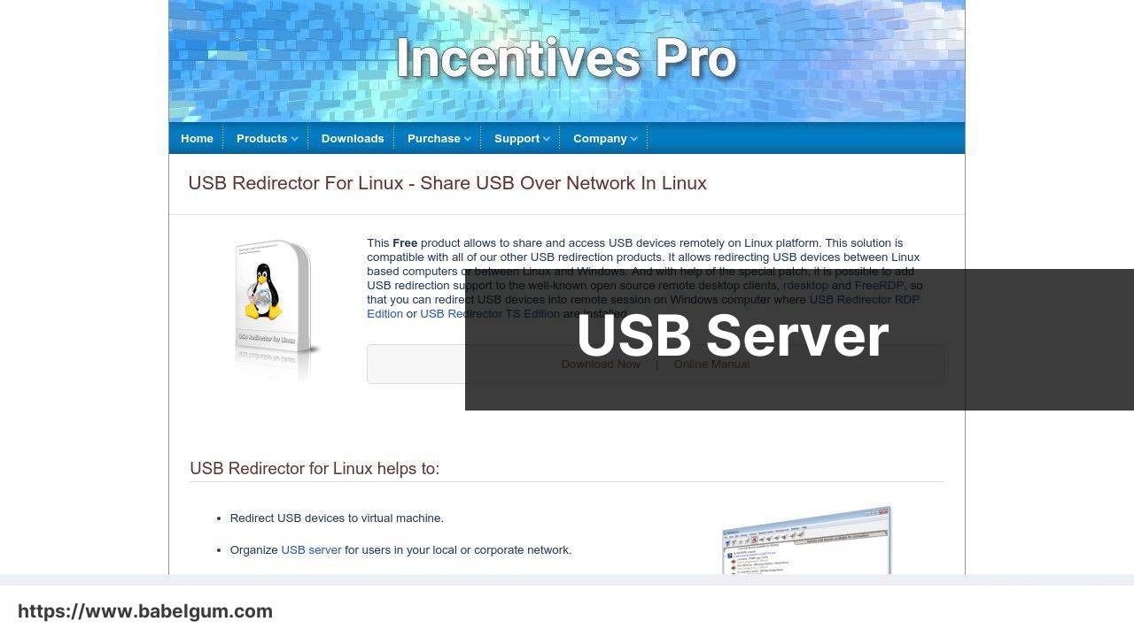 https://www.incentivespro.com/usb-server.html screenshot